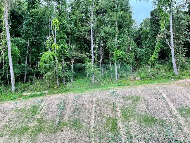 A view of the .75 acre lot | Image 25