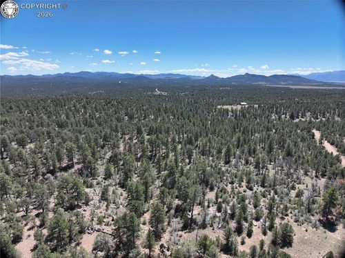 TBD Paint Brush Trail, Cotopaxi, CO, 81223 | Card Image