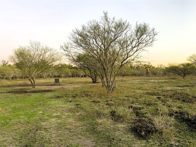 Hunting area on back 3rd of the property | Image 20