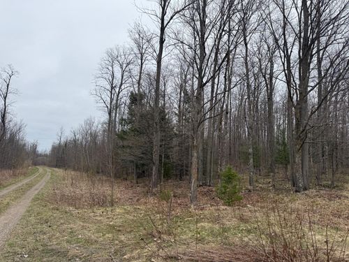 0000 Hwy 8, Crandon, WI, 54520 | Card Image