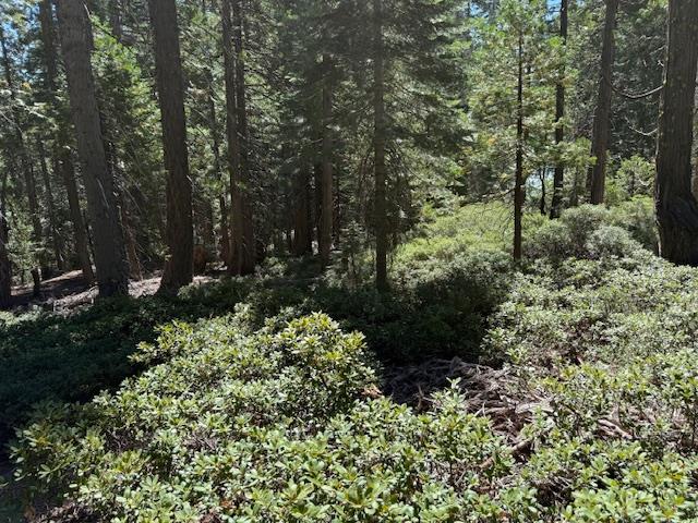 Land in Strawberry Valley