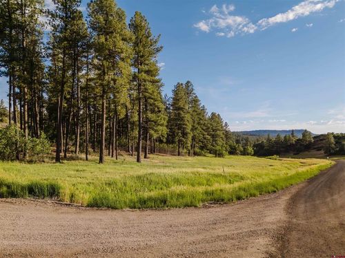 359 Ironwood Dr, Pagosa Springs, CO, 81147-9066 | Card Image