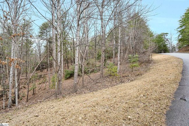 105 Buttercup Way, Home with 0 bedrooms, 0 bathrooms and null parking in Sunset SC | Image 10
