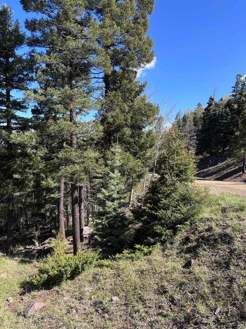 581 Panorama Way, Angel Fire, NM, 87710 | Card Image