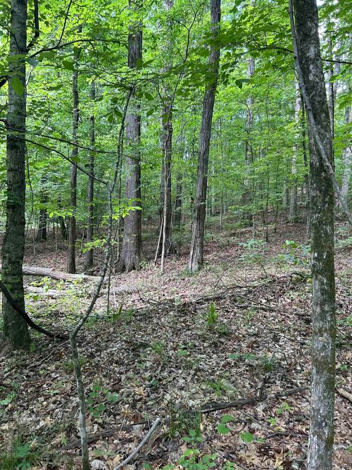 0 St Francis 355 Rd, Colt, AR, 72326 | Card Image