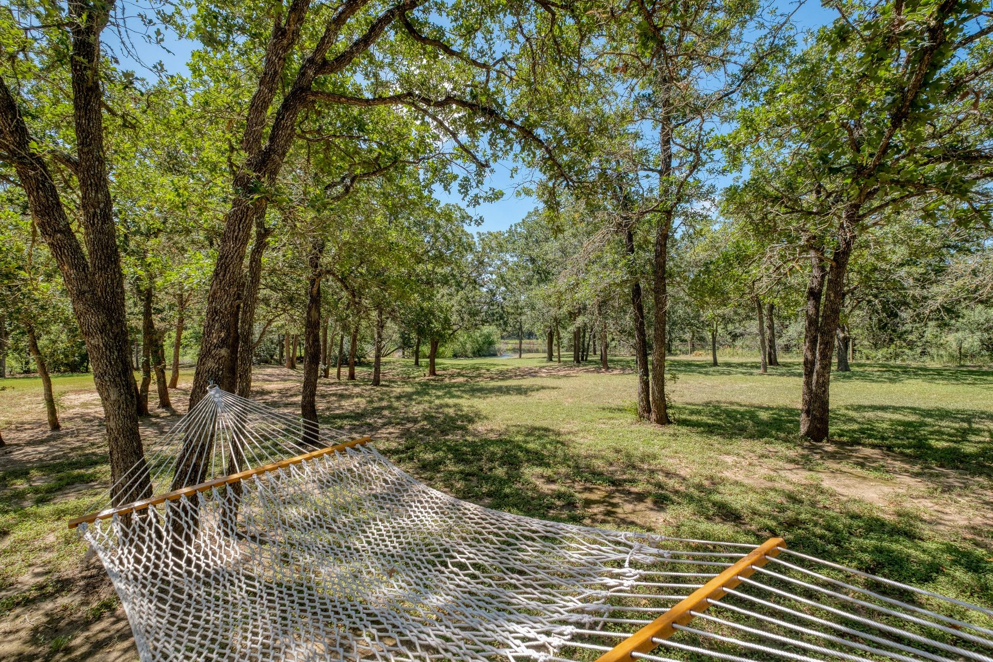 Residential in Cedar Creek 5