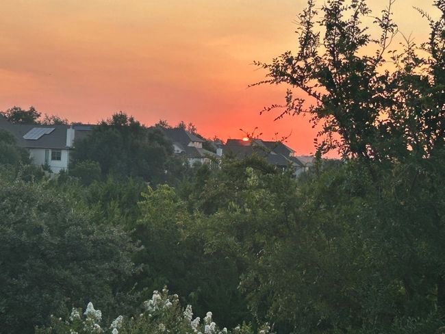 View of nature | Image 34