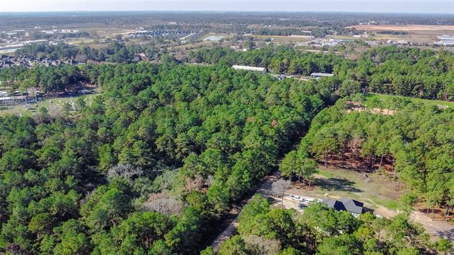 0 Grant Rd, Home with 0 bedrooms, 0 bathrooms and null parking in Cypress TX | Image 10