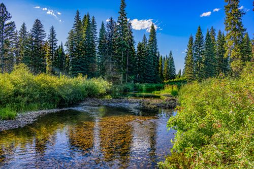 001 Route 83, Seeley Lake, MT, 59868 | Card Image