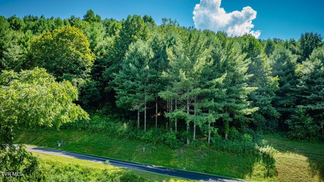 10 Cowan Town Rd, Home with 0 bedrooms, 0 bathrooms and null parking in Butler TN | Image 7