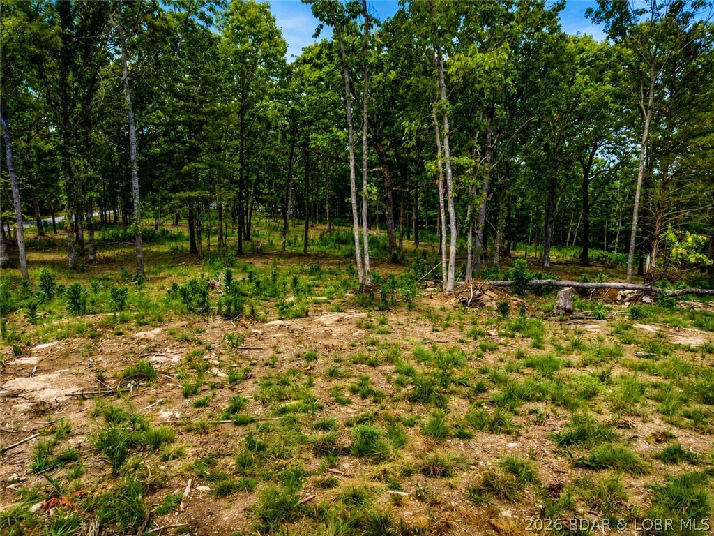 Land in Linn Creek 5