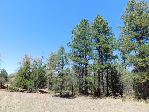 083b-3100 Pinewood Dr, Overgaard, AZ, 85933-5292 | Card Image