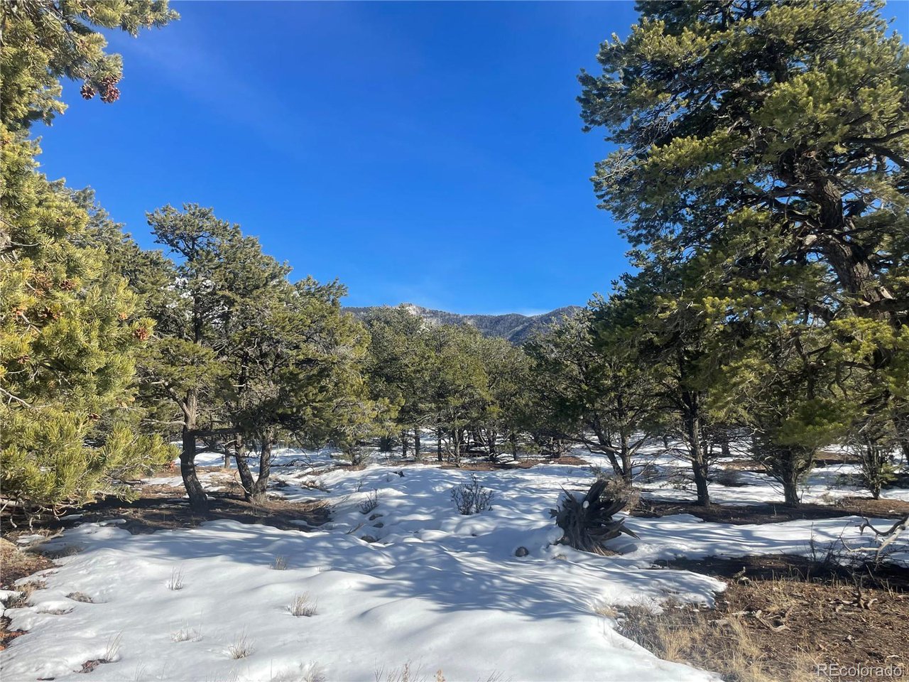 Land in Crestone 3