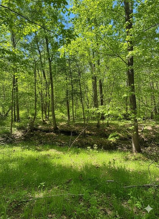 Land in Broken Bow 5