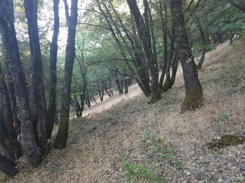 16424 Annie Dr, Grass Valley, CA, 95949-7150 | Card Image