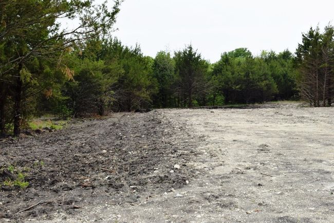 View of local wilderness with a view of trees | Image 7