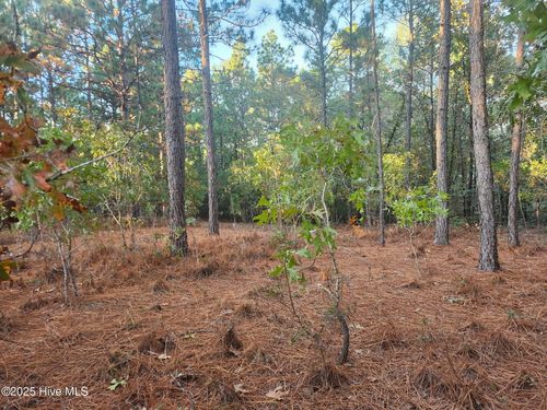 4 Brassie Cir, Jackson Springs, NC, 27281-9728 | Card Image