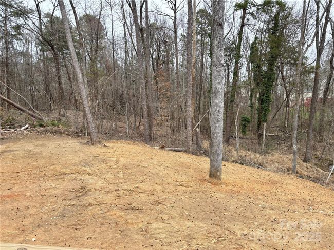Back Yard | Image 41