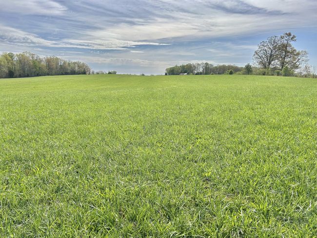 1110 Pomroy Rd, House other with 3 bedrooms, 2 bathrooms and 2 parking in Manchester TN | Image 50