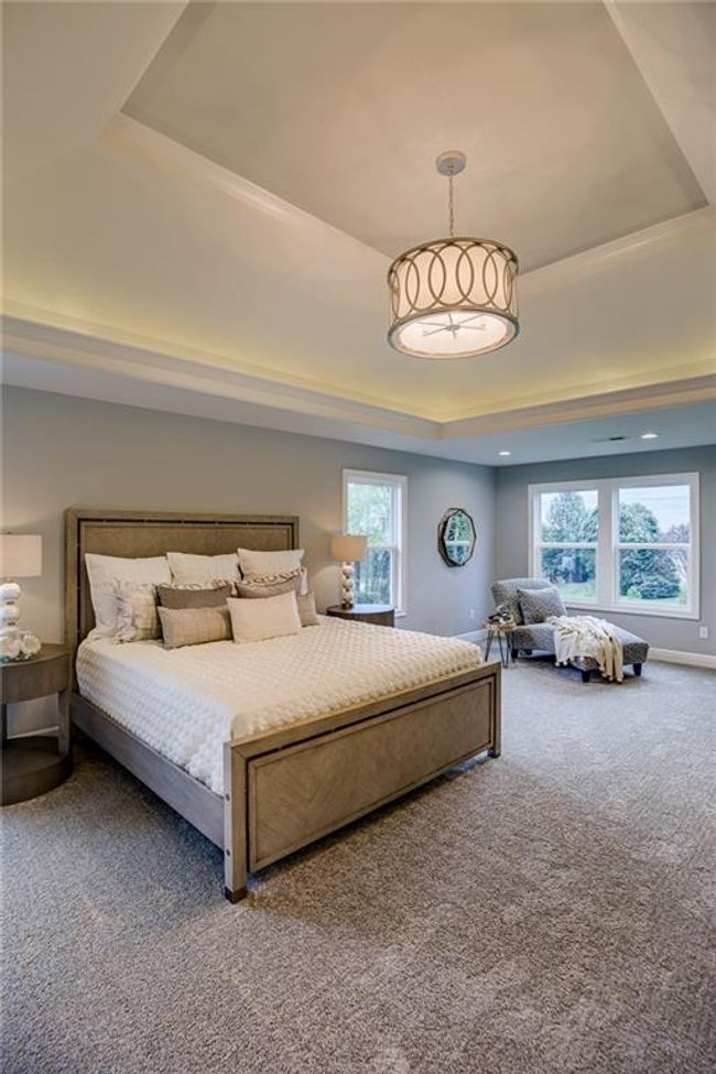 Bedroom featuring dark carpet and a raised ceiling | Image 27
