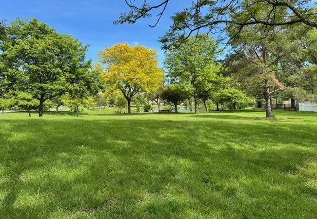 APT-3A - 825 Pearson St, Condo with 2 bedrooms, 2 bathrooms and 1 parking in Des Plaines IL | Image 29