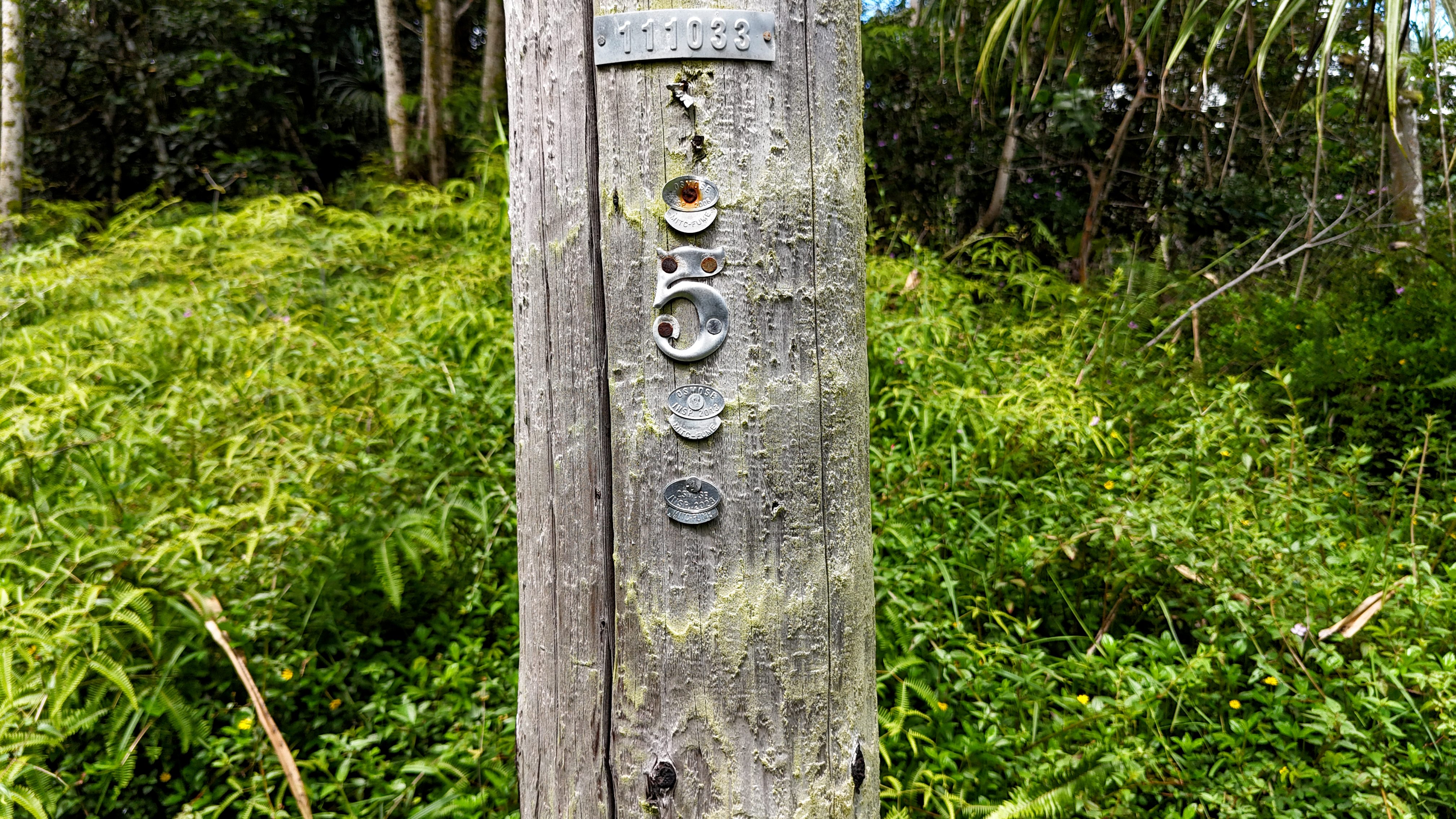 Land in Pahoa