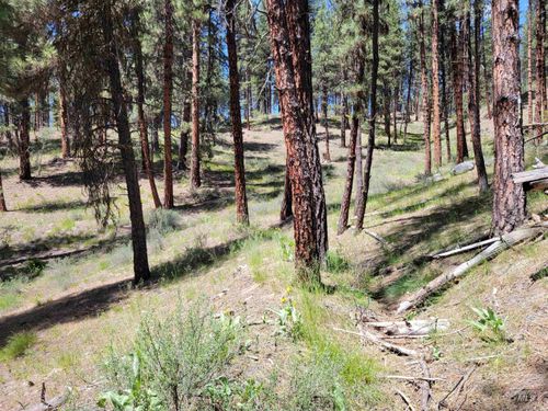 4156 Highway 21, Idaho City, ID, 83631-4151 | Card Image