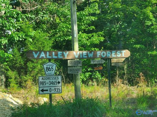 22a County Road 865, Gaylesville, AL, 35973 | Card Image