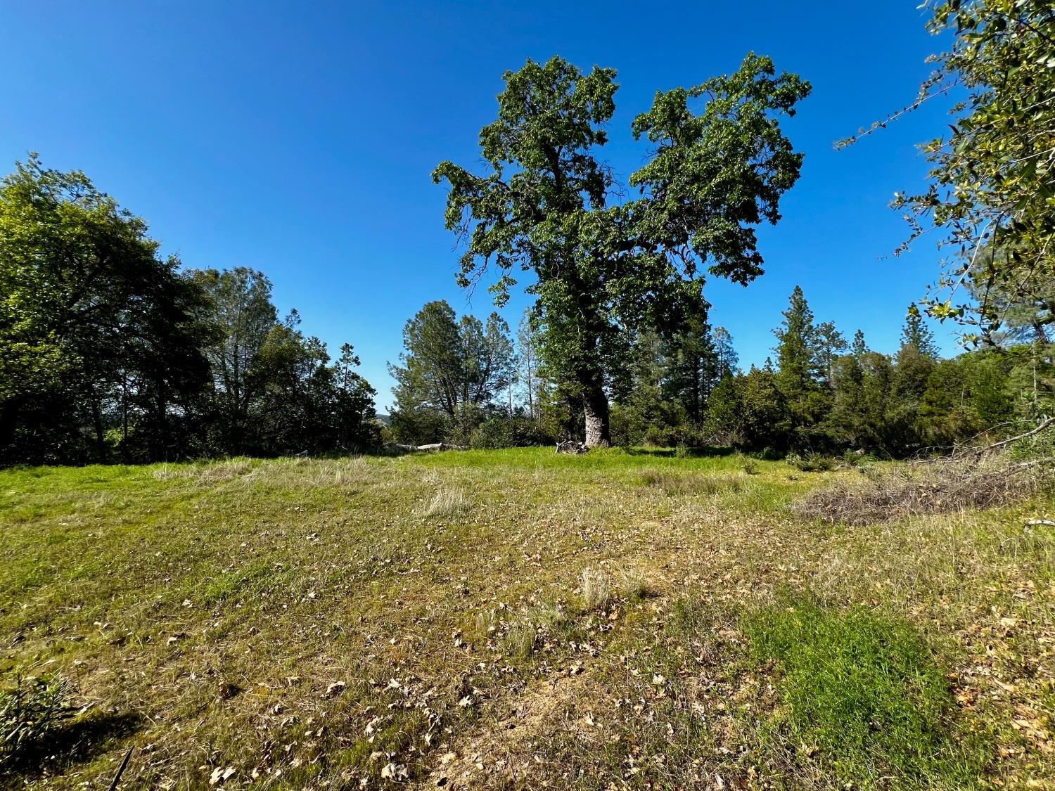 Land in Somerset 5