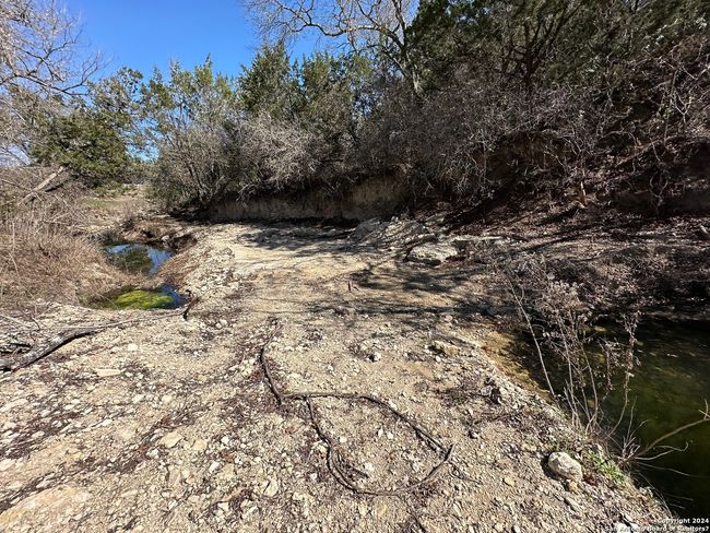 4621 Mccall Creek Rd, Home with 0 bedrooms, 0 bathrooms and null parking in Blanco TX | Image 17