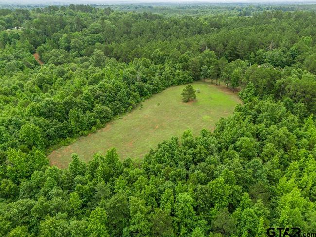 3536 &amp; TBD Cr 1579, Home with 4 bedrooms, 3 bathrooms and null parking in Avinger TX | Image 8
