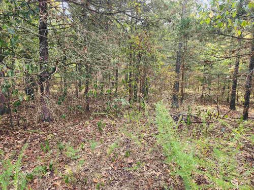 L24B3 Bokchito Dr, Cherokee Village, AR, 72529 | Card Image