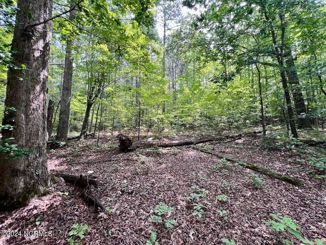 27 Gordon Ln, Home with 0 bedrooms, 0 bathrooms and null parking in Macon NC | Image 13