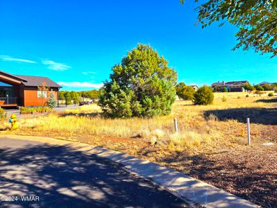 Vacant Land in Show Low Bluff | Image 1