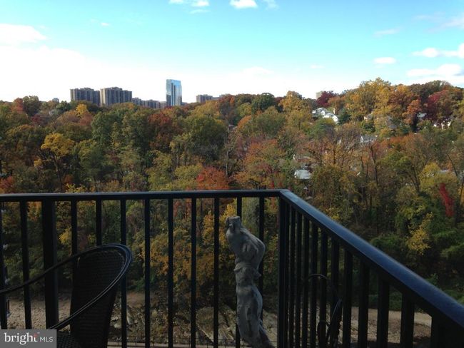 APT-722 - 4600 S Four Mile Run Dr, Condo with 1 bedrooms, 1 bathrooms and null parking in ARLINGTON VA | Image 25