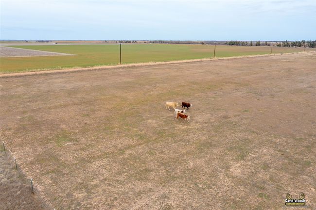 Bird's eye view featuring a rural view | Image 22