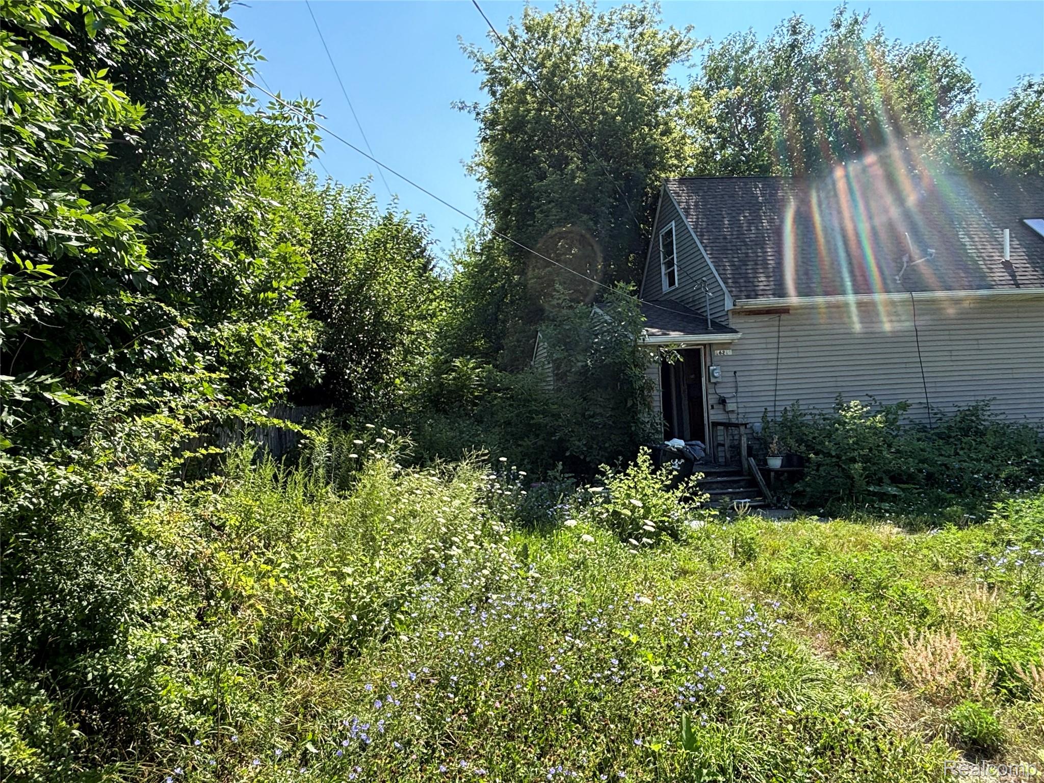 Residential in Detroit 3