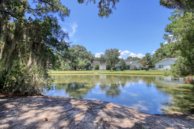 Water view | Image 29