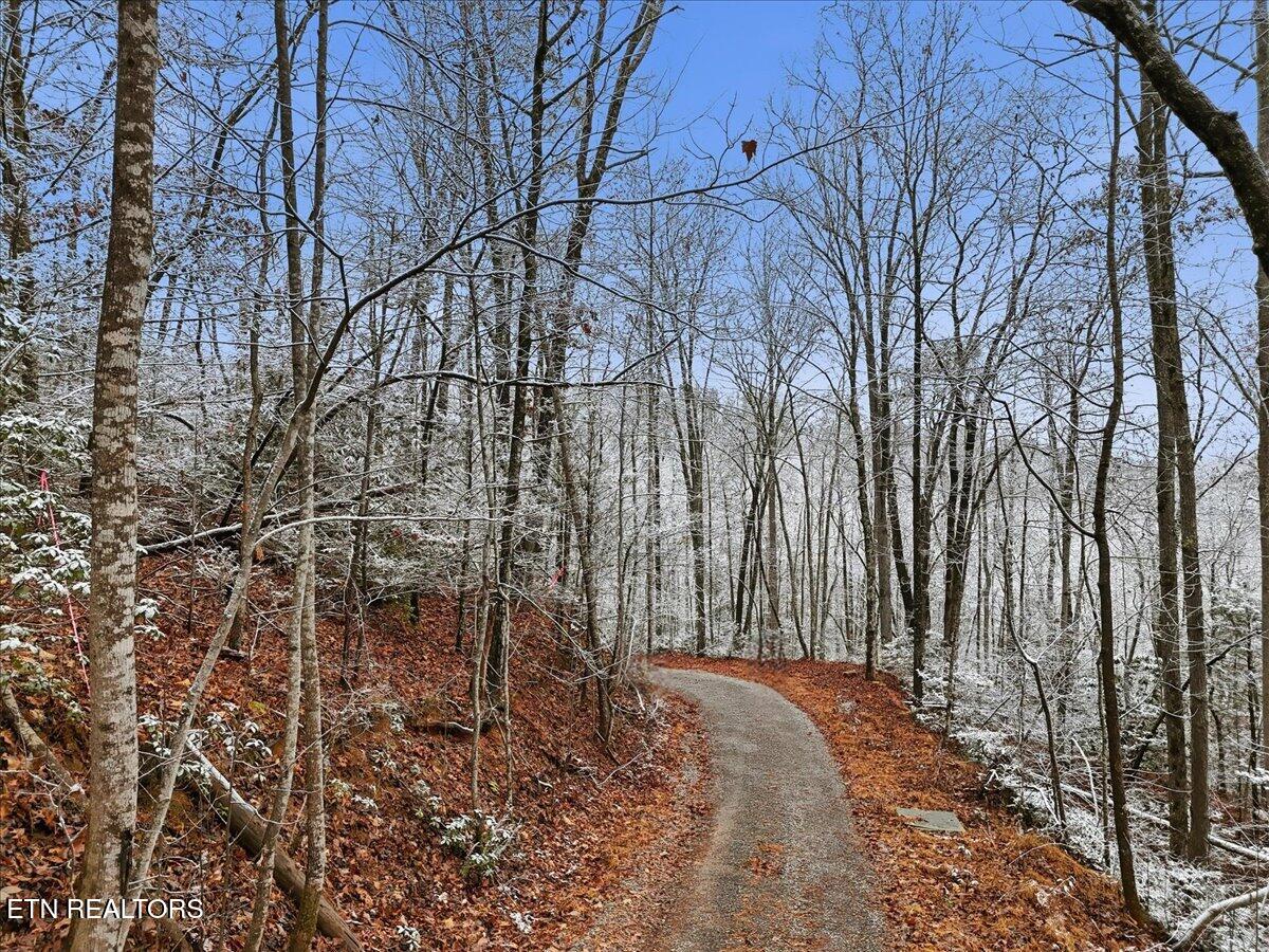 Land in Gatlinburg 2
