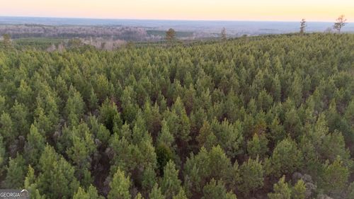 723 Brown Creek Road, Shiloh, GA, 31826 | Card Image