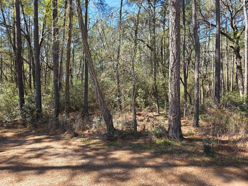 lot 20 Hackberry Dr, Plantersville, TX, 77363 | Card Image