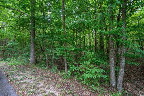 Lot 20 Deer Run, Malvern, AR, 72104 | Card Image