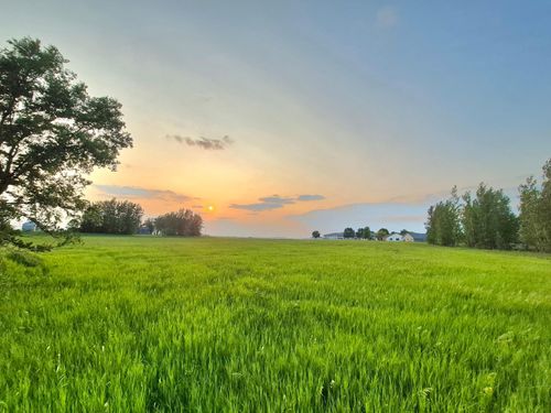 1 Frenzel Dr, Arlington, MN, 55307 | Card Image