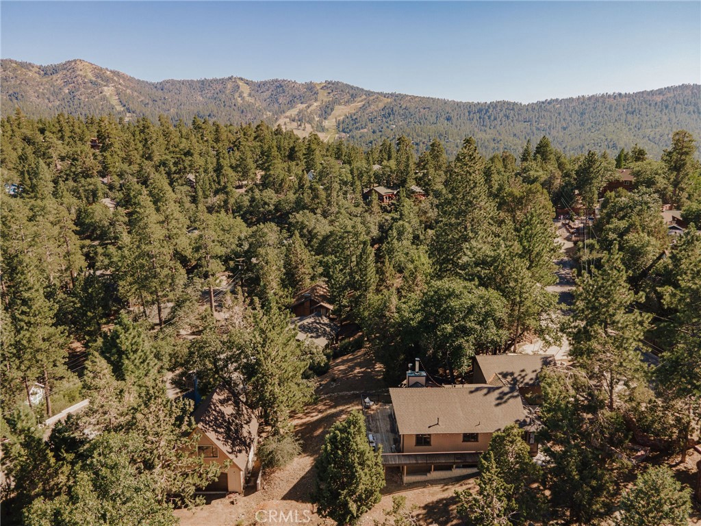 Residential in Big Bear City 4