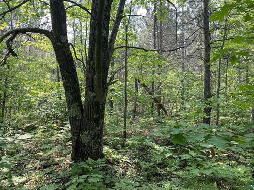 000 Five Acre Road, Washburn, WI, 54891 | Card Image