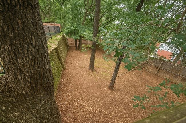 View of fenced backyard | Image 22