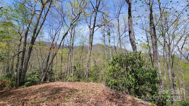 27 - 27 Lacy Fern Rdg, Home with 0 bedrooms, 0 bathrooms and null parking in Sylva NC | Image 21