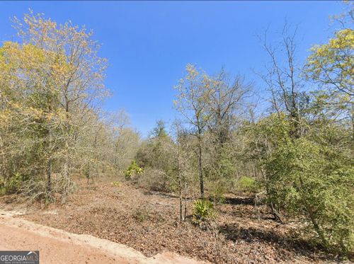 0 Mixon Lane, Douglas, GA, 31535 | Card Image