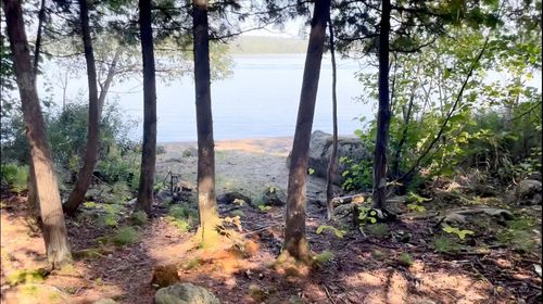 1317 N Pioneer Road, Ely, MN, 55731 | Card Image