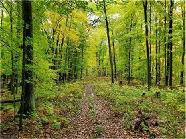 XXX 350 Th Ave, Home with 0 bedrooms, 0 bathrooms and null parking in FREDERIC WI | Image 7